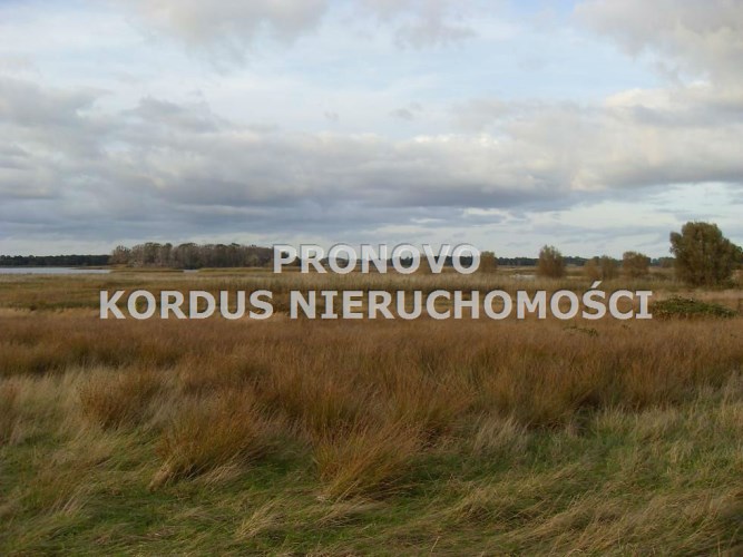 działki Połchowo
