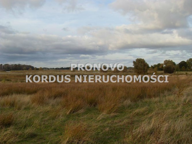 działki Kamień Pomorski