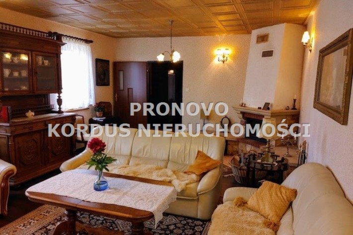 salon z kominkiem