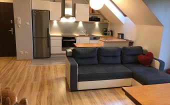 salon z aneksem kuchennym