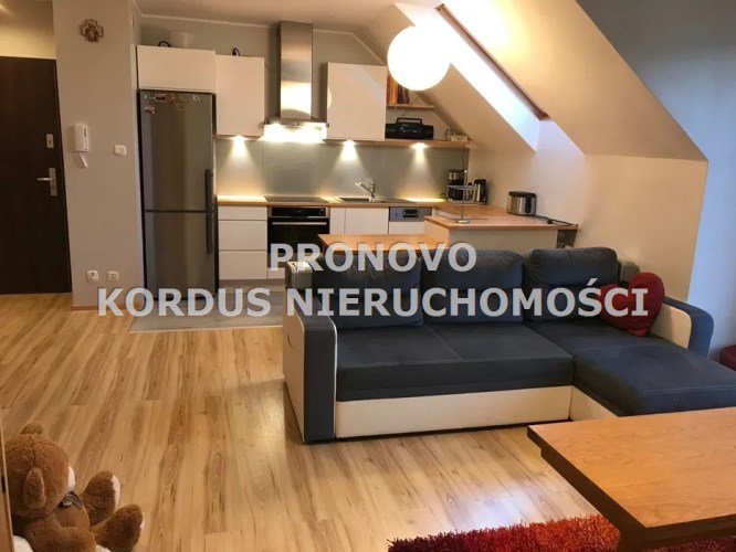 salon z aneksem kuchennym