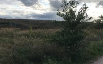 działka Dobra